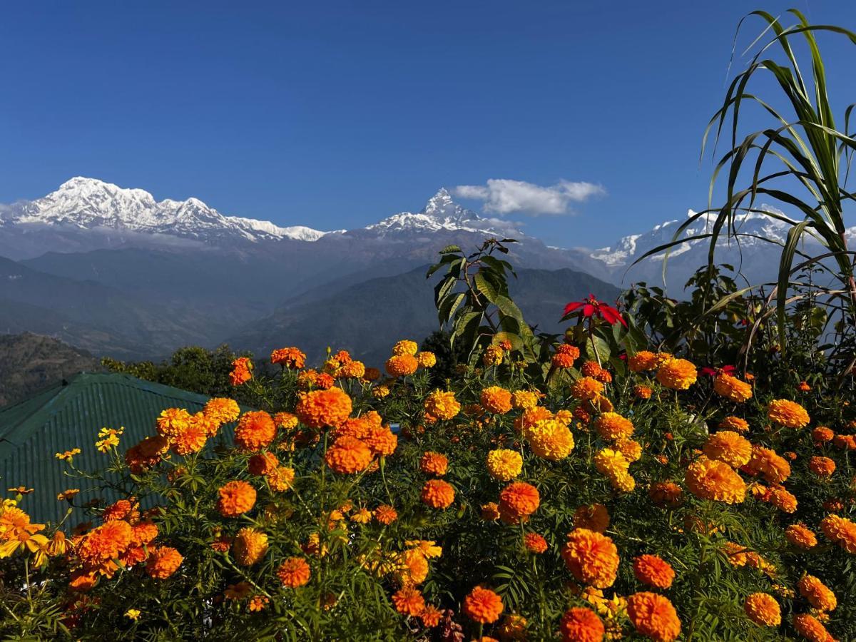 Es Deurali Resort Pokhara Dış mekan fotoğraf