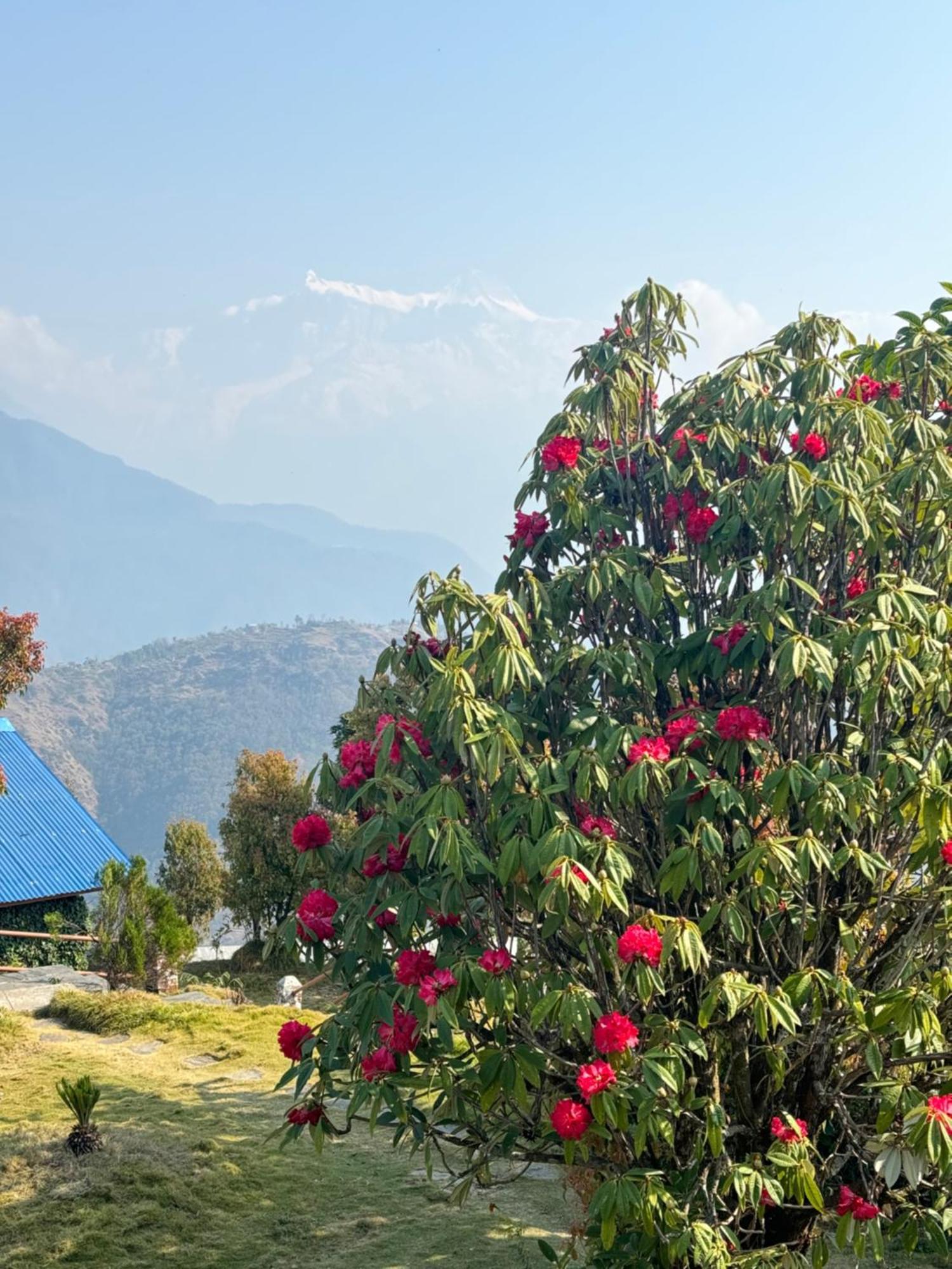 Es Deurali Resort Pokhara Dış mekan fotoğraf
